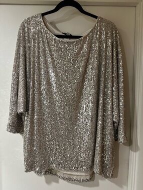 Cable & Gauge Silver Sequin Long Sleeve Top